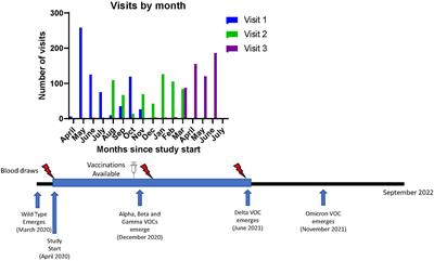 Wild-type SARS-CoV-2 neutralizing immunity decreases across variants and over time but correlates well with diagnostic testing